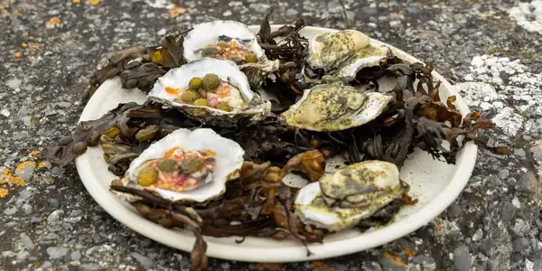 Galway Oysters ‘Two Ways’ Recipe