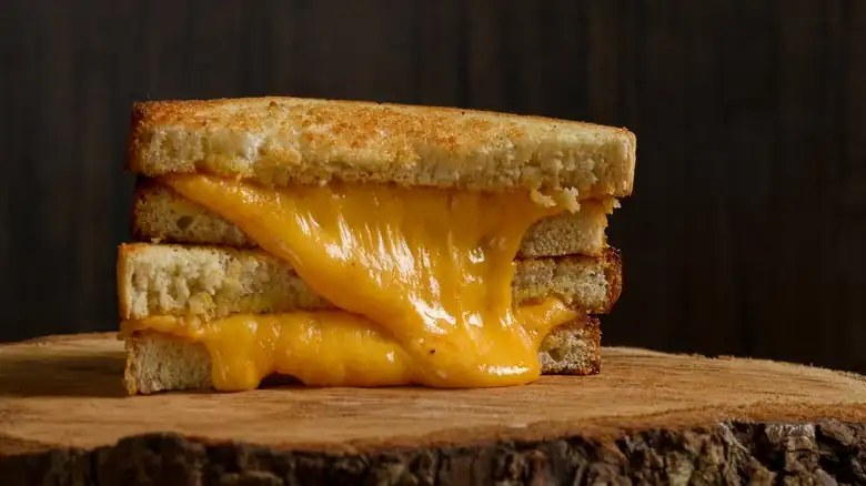 This Kitchen Appliance Is Ideal For Batching Grilled Cheese Sandwiches