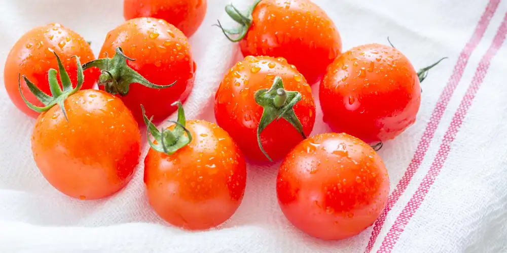 Aquí te mostramos la mejor manera de almacenar tomates para que se mantengan frescos.
