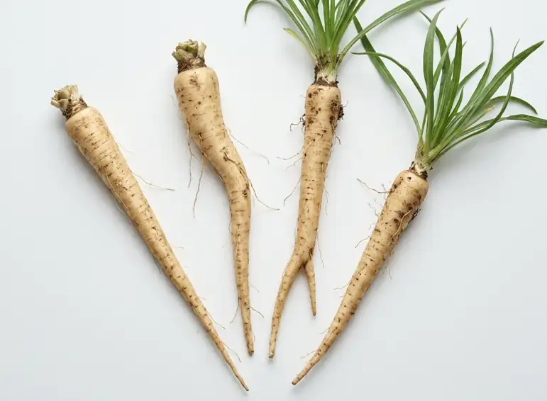 Salsify: what it is, what it tastes like, and how to use it in cooking