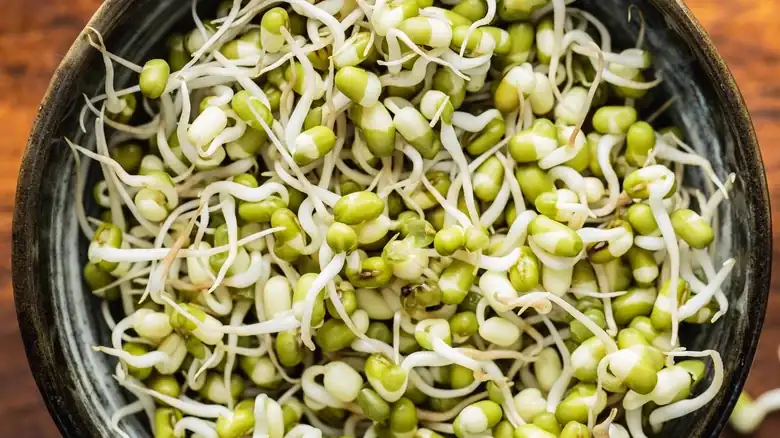 What Are Mung Beans And What Can You Use Them In?