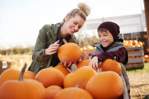¿De verdad se puede saber si una calabaza está madura con solo golpearla?