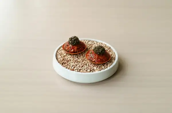 Sollip's beef tartare