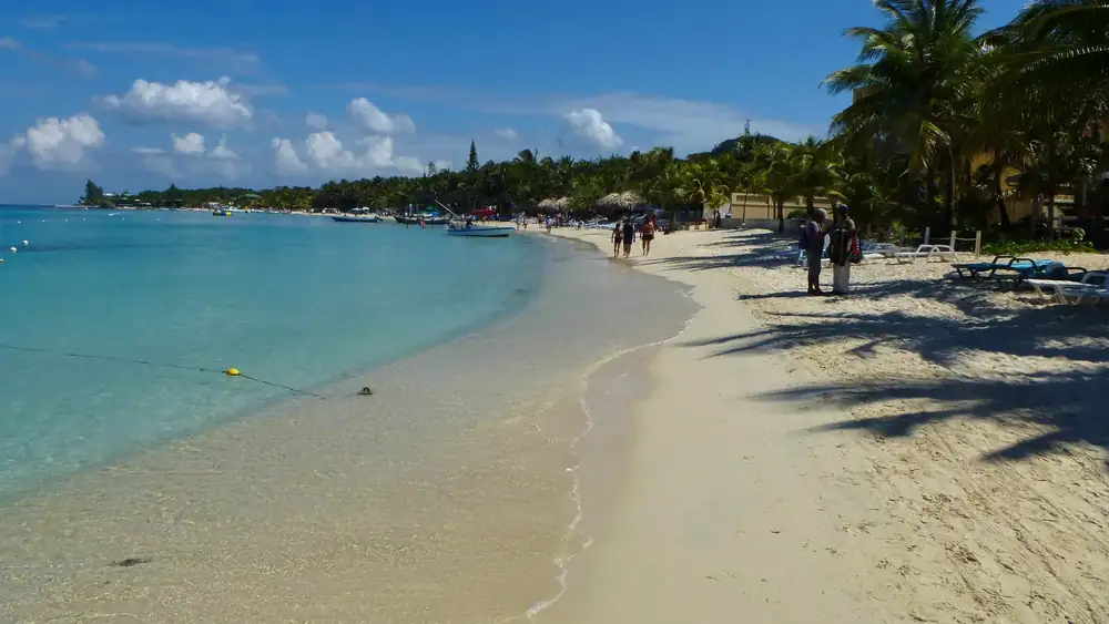 Roatán con C: coco, caracol, cacao y café