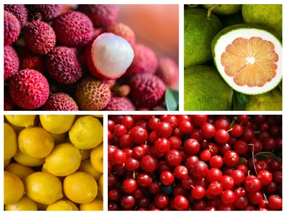 20+ Luscious Fruits Starting with L