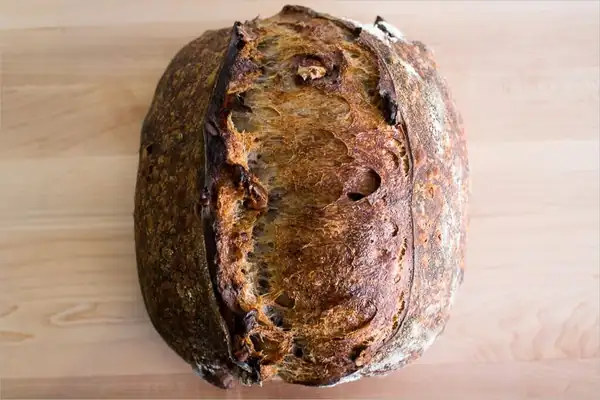 Tartine Country Walnut Sourdough