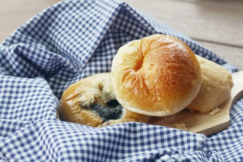 10 Best Bakeries That Are Weird But Delicious That You’ll Loaf To Visit