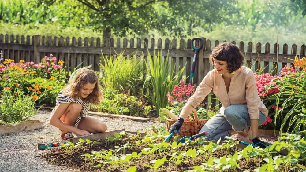 Menos grava, más vegetación: inspiración para jardines compactos y con potencial