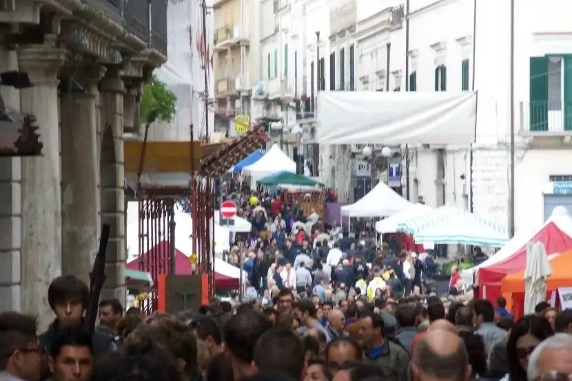 Minervino is preparing for the 31st Cardoncello Mushroom Festival: applications are now open