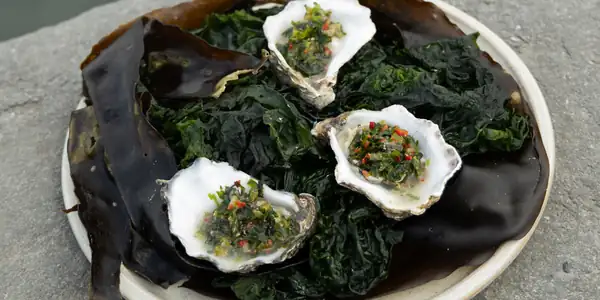 Galway Oysters With Poitín And Seaweed Tartare Recipe