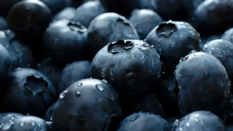 The One Herb That Always Amplifies Blueberry Flavors
