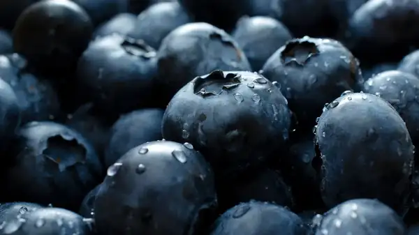 La hierba que siempre realza el sabor de los arándanos