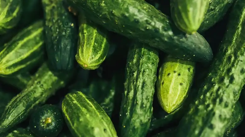 Are Cucumber Varieties Interchangeable In Recipes?