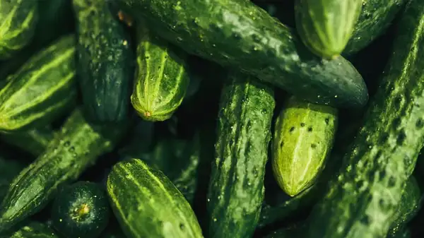 Are Cucumber Varieties Interchangeable In Recipes?