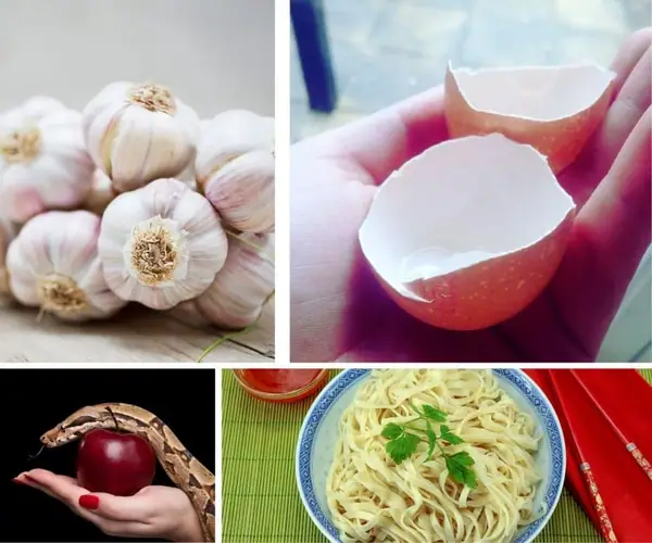 13 alimentos malditos y supersticiones relacionadas con la comida, desde manzanas podridas hasta derramar el té