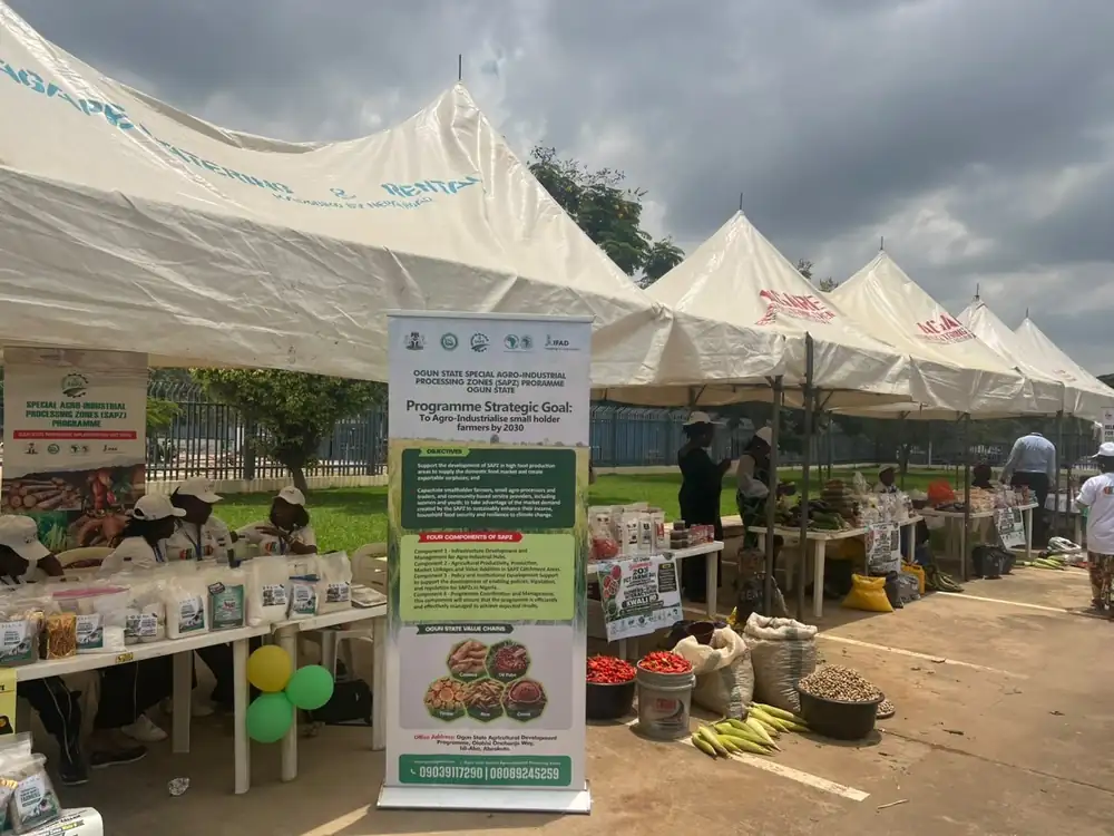 IYWF 2026: El Gobierno Federal, la FAO, el FIDA y el PMA buscan una mayor inversión en las mujeres agricultoras nigerianas