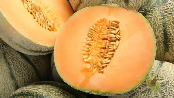 12 Mistakes Everyone Makes When Buying Cantaloupe