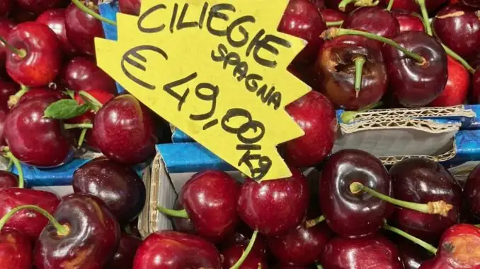 Record prices, inflation at 6 percent, fruit and ice cream cost 10 percent more