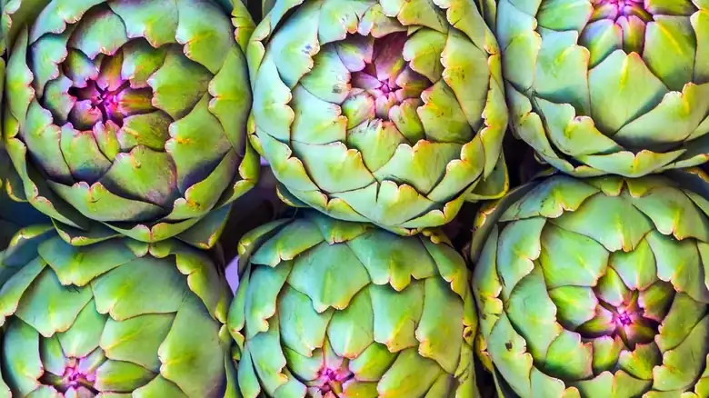 14 Artichoke Varieties You Might Not Be Familiar With