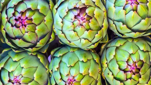 14 Artichoke Varieties You Might Not Be Familiar With