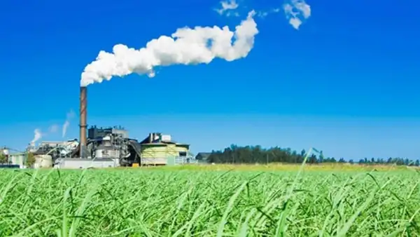 Karnataka sees sugar mill boom amid rising ethanol demand