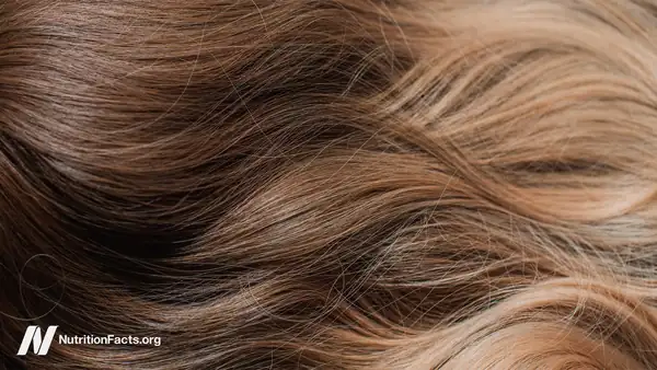 ¿Qué alimentos favorecen el crecimiento del cabello?