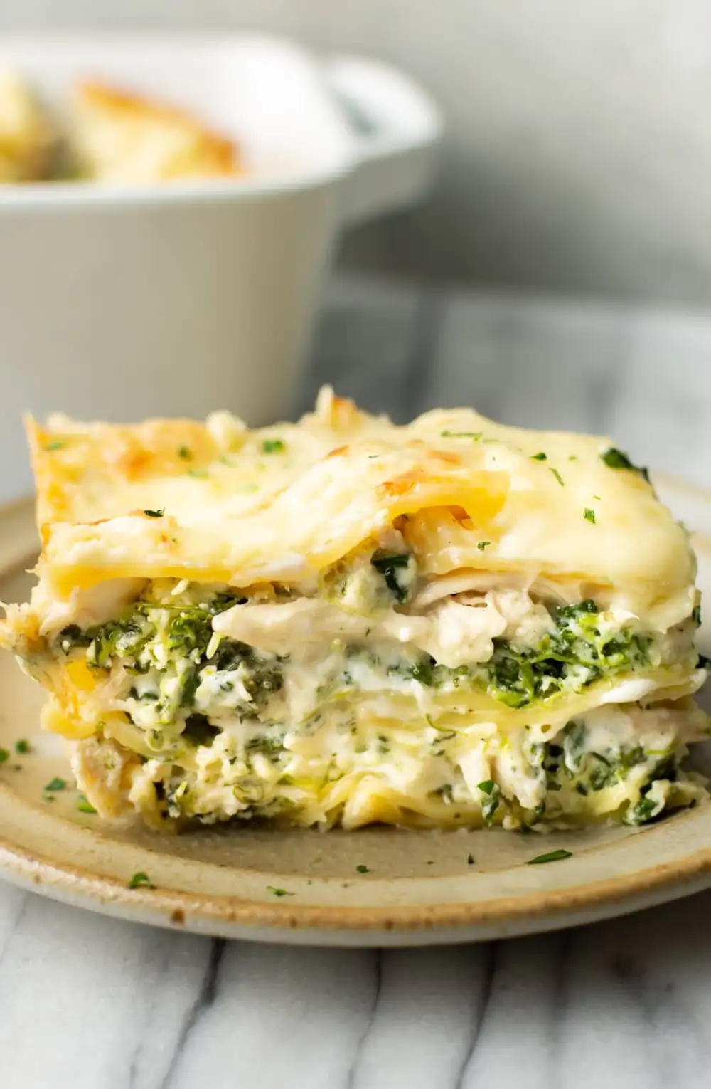 Creamy Chicken Lasagna