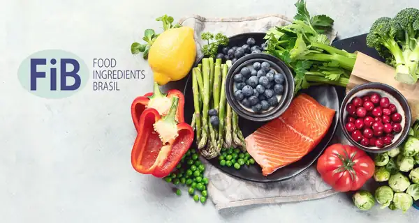 Los elementos esenciales atemporales: ingredientes que siguen siendo relevantes