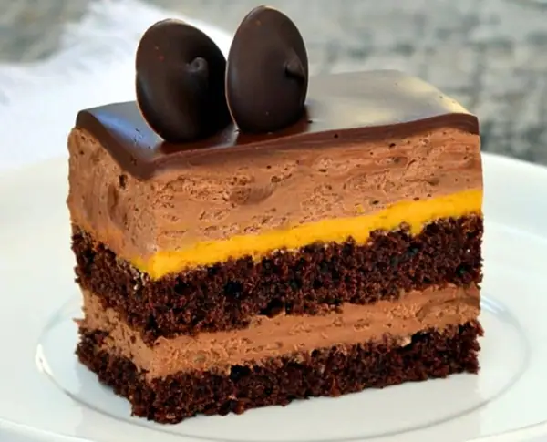 Chocolate Pumpkin Mousse Cake