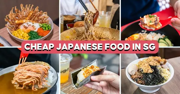 20 Cheap Japanese Food Places With Mains Under $15, Including CBD And Hawker Options