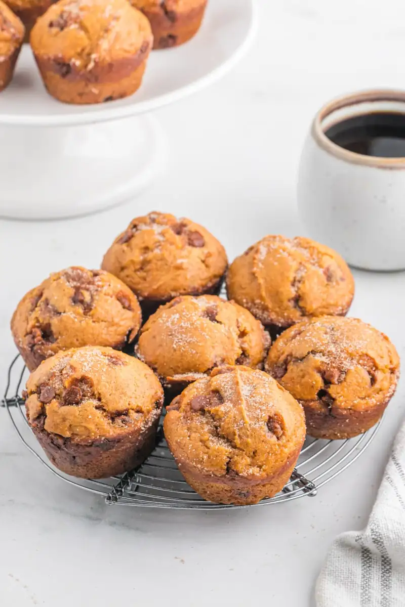 Pumpkin Cinnamon Chip Muffins