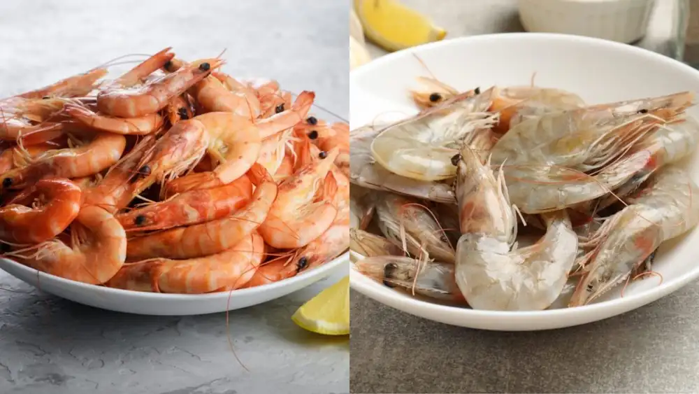 ¿Por qué algunos camarones son rosados y otros grises? La diferencia no está relacionada con la frescura