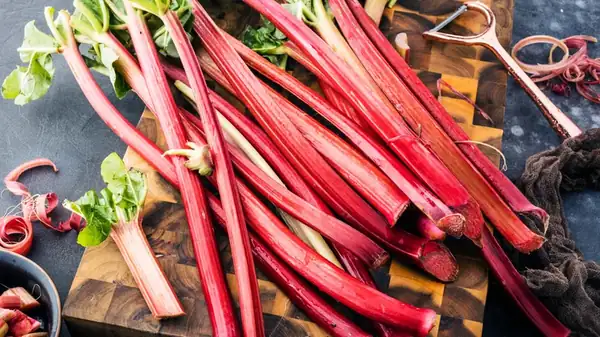 What States Produce The Most Rhubarb In America?