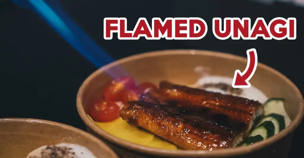 Kenboru Review: New Torched Salmon And Unagi Donburi Shop With Nothing More Than $12