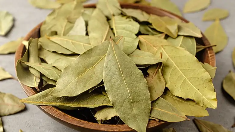 Don't Just Cook With Bay Leaves