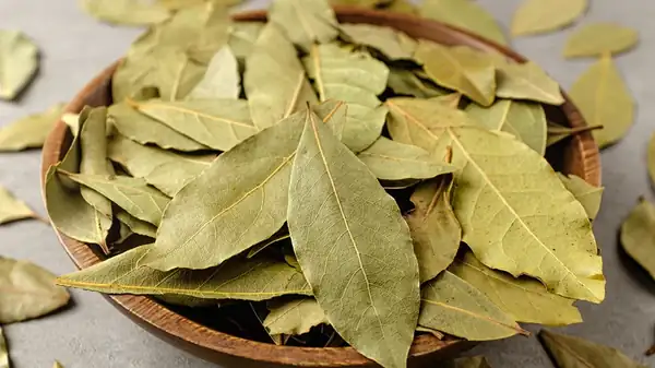 Don't Just Cook With Bay Leaves