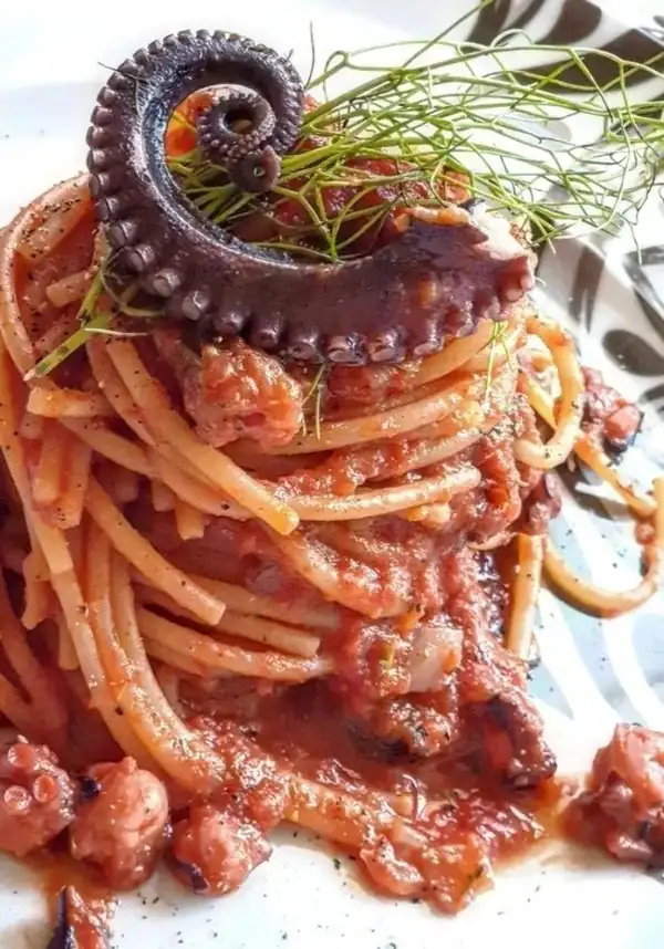 APPOLIPATED SPAGHETTI