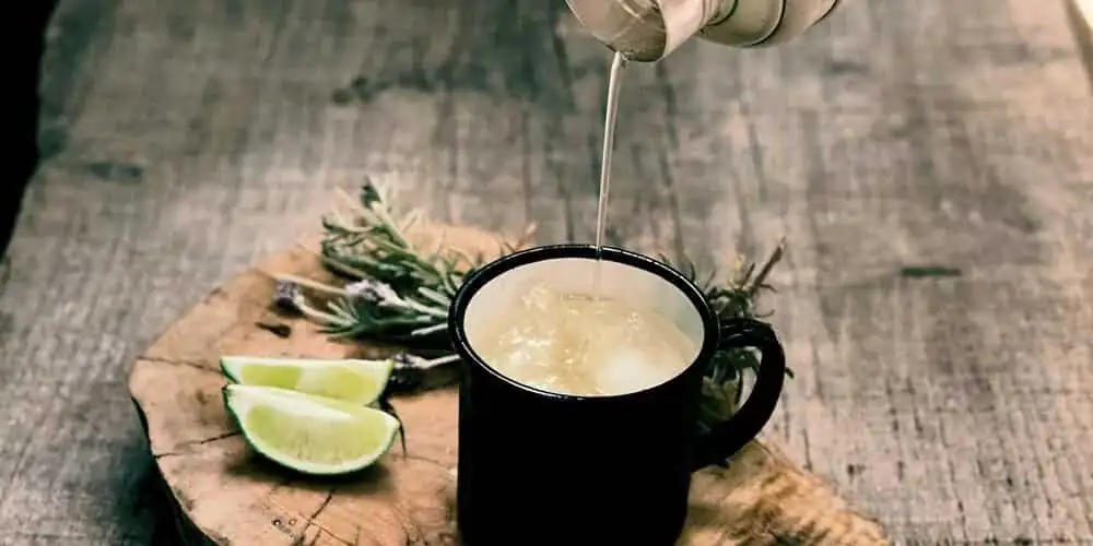 Cómo preparar un cóctel de ginebra con lavanda (Receta)