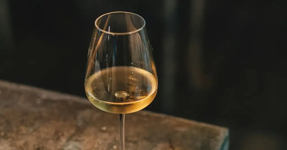 Blanc de blancs or blanc de noirs: what is the difference?