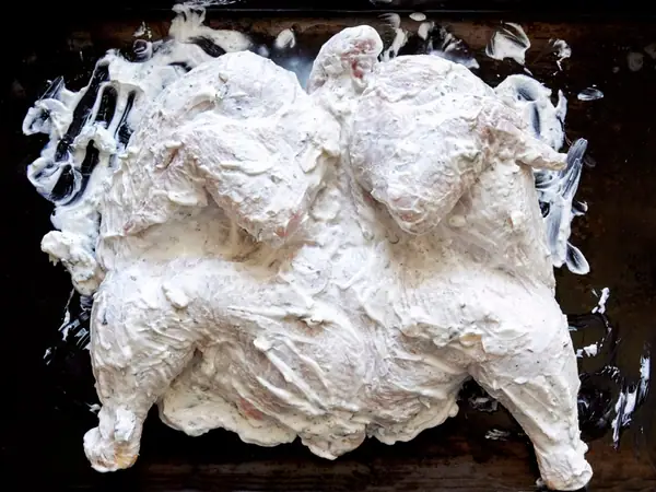Yogurt Your Meats: It’s Part Science, Part Spiritual