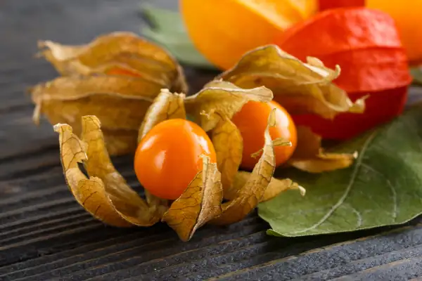 Berry or fruit? What is physalis, what are its benefits and how to use it in cooking