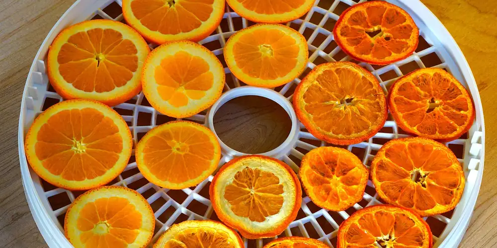 Ways to Use a Home Dehydrator to Reduce Food Waste