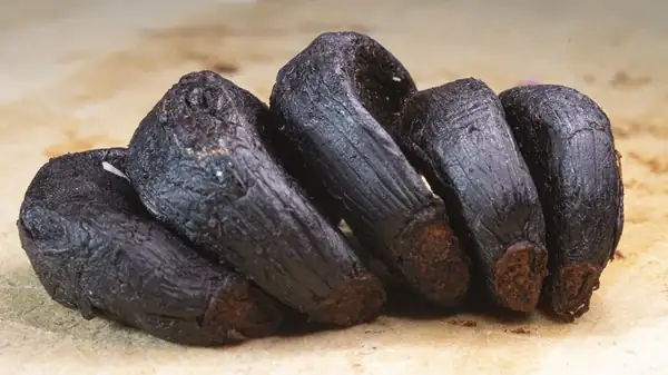 Why A Rice Cooker Is All You Need To Make Your Own Black Garlic At Home