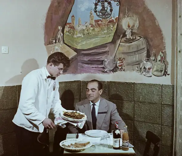 The salon lung in the history of Hungarian cuisine