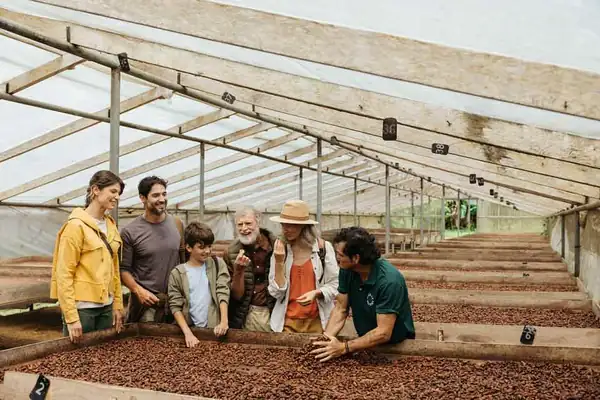Costa Rica: a journey to the origin of chocolate, amidst nature and ancestral traditions