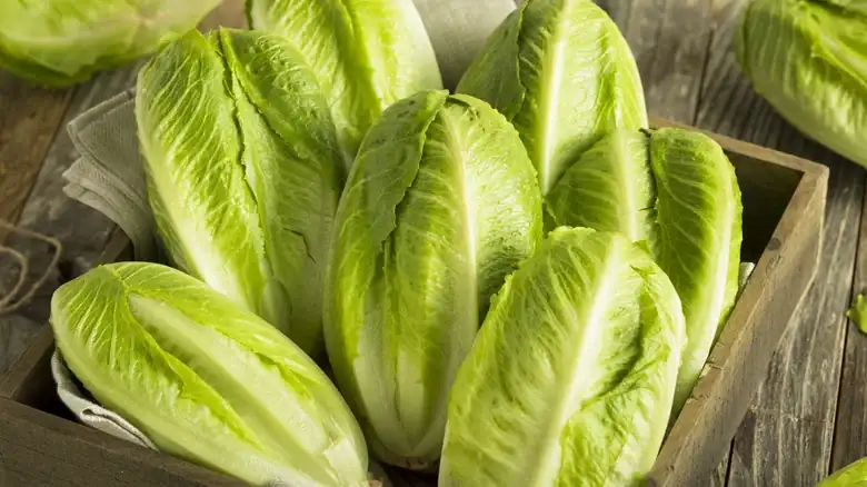 For Quicker Salad Prep, Let Your Anger Out On Your Lettuce