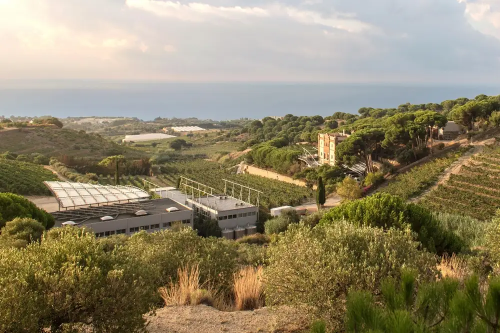 Alta Alella invests 2.5 million