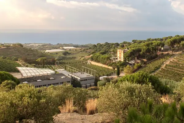 Alta Alella invests 2.5 million