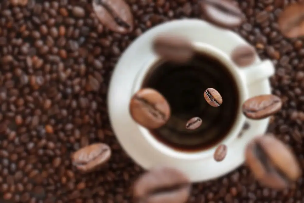 What's the difference between theine and caffeine? I'll tell you because they're the same thing