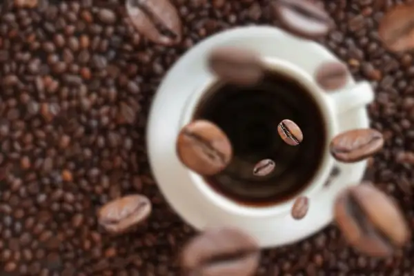 What's the difference between theine and caffeine? I'll tell you because they're the same thing